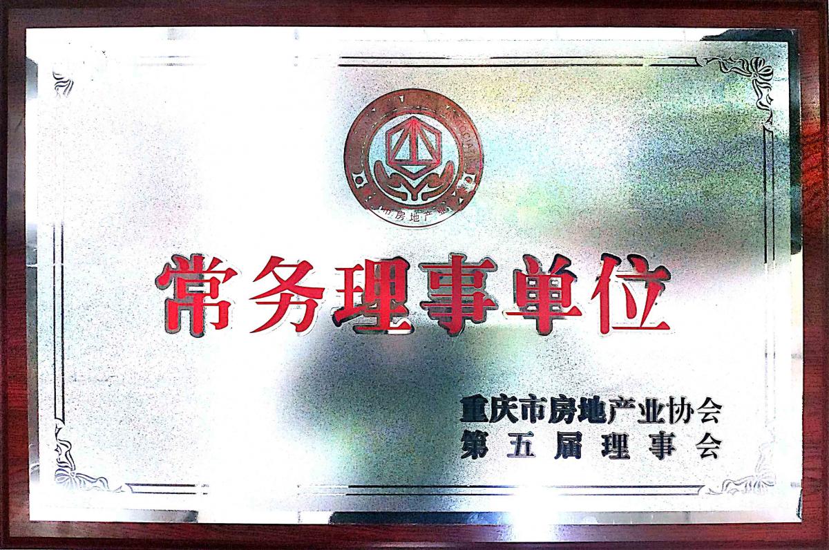 重庆市开发协会第五届理事会常务理事单位