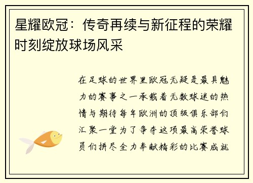 星耀欧冠：传奇再续与新征程的荣耀时刻绽放球场风采